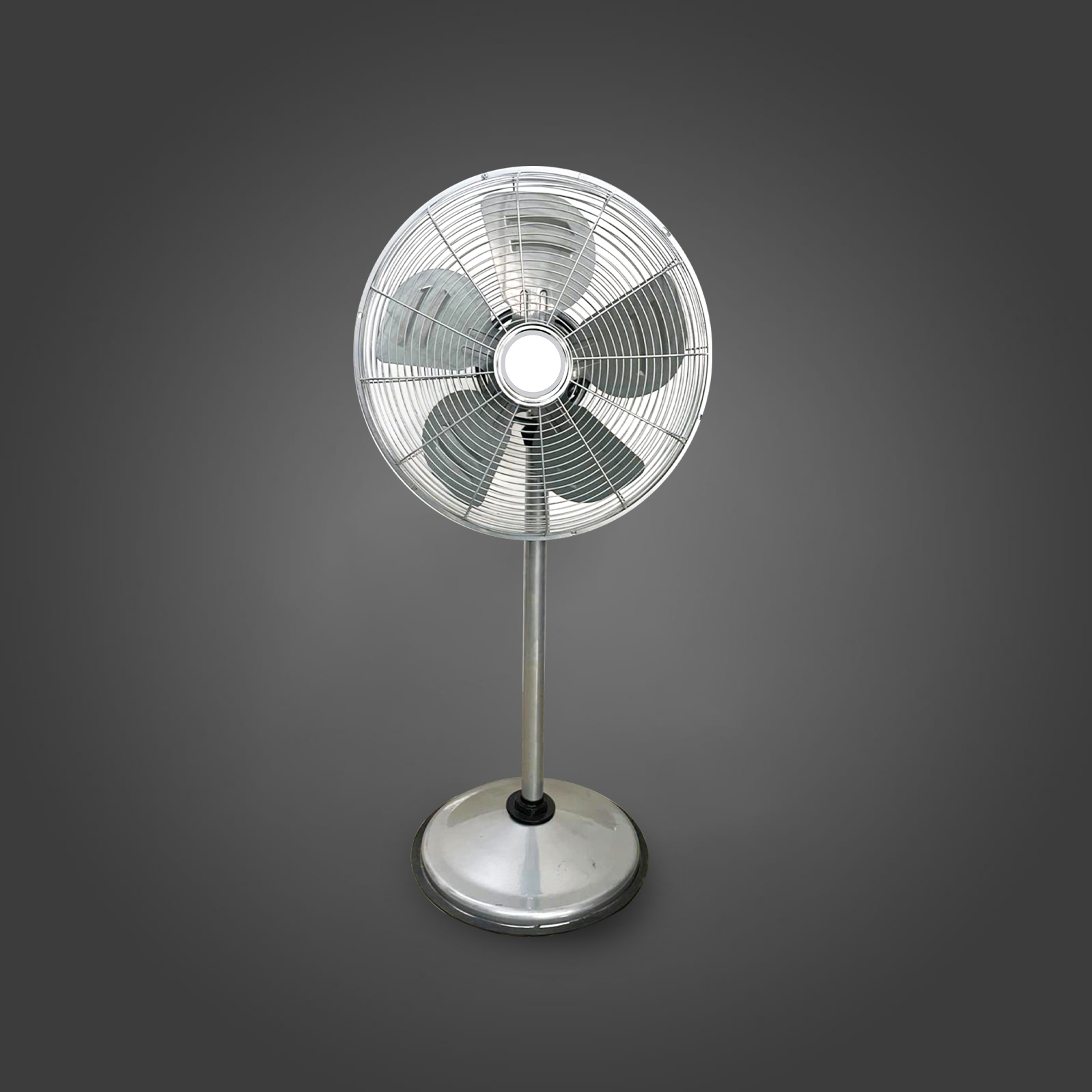 Pedestal Fan